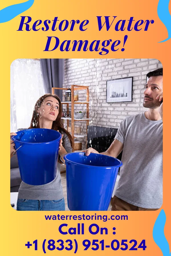 water restoration Global Water Removal Brothers Osgood