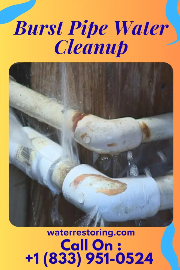 Burst Pipe Water Cleanup in Osgood, OH