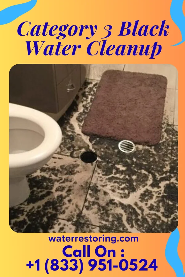 Category 3 Black Water Cleanup in Osgood, OH