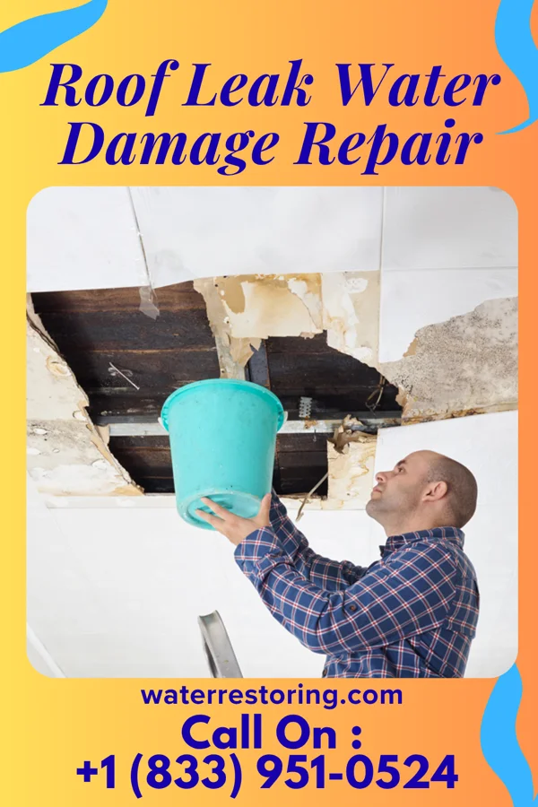 Roof Leak Water Damage Repair in Osgood, OH