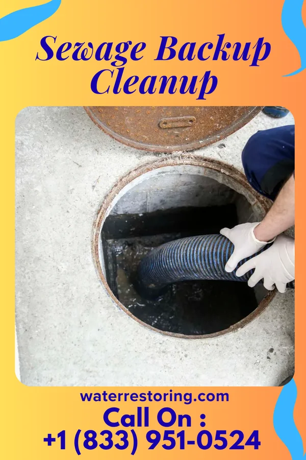 Sewage Backup Cleanup in Osgood, OH