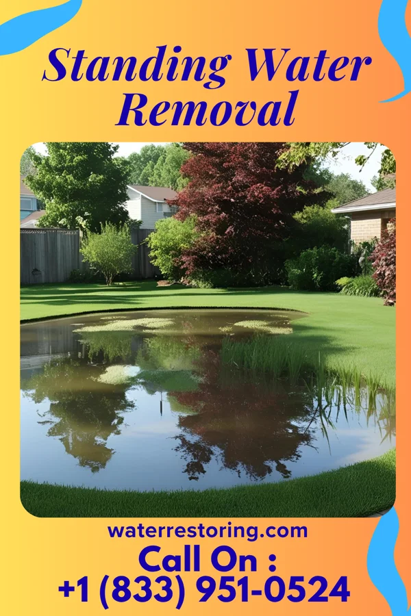 Standing Water Removal in Osgood, OH